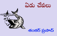 ఏడు చేపలు