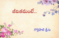 జీవితమంటే..