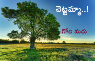 చెట్టమ్మా..!