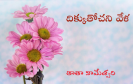 దిక్కుతోచని వేళ