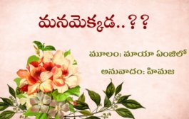 మనమెక్కడ..??