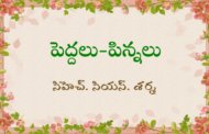 పెద్దలు-పిన్నలు