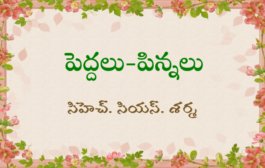 పెద్దలు-పిన్నలు