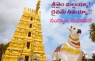 శ్రీశైల మల్లయ్యా! దైవమే నీవయ్యా!!