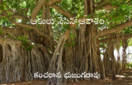 ఆకులు నేసిన ఆకాశం