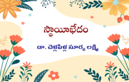 స్థాయీభేదం
