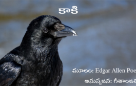 కాకి