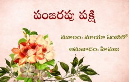 పంజరపు పక్షి