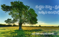 పచ్చని చెట్టు - ప్రతి ఒక్కరి బంధువు