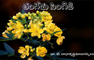 తంగేడు సింగిడి