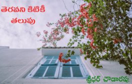 తెరవని కిటికీ తలుపు