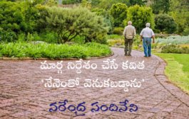 మార్గ నిర్దేశం చేసే కవిత ‘నేనెంతో వెనుకబడ్డాను’