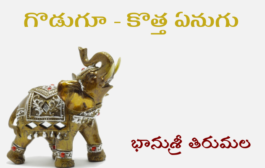 గొడుగూ - కొత్త ఏనుగు