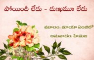 పోయిందీ లేదు - దుఃఖమూ లేదు