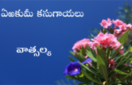 ఏఱకుమీ కసుగాయలు