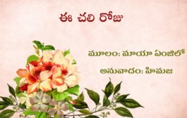 ఈ చలి రోజు