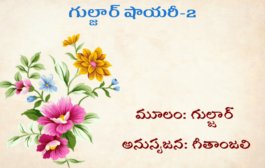 గుల్జార్ షాయరీ-2