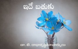 ఇదే బతుకు