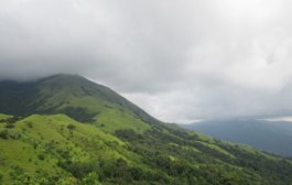 ప్రకృతిలో పర్యటన