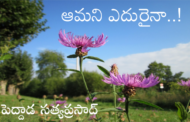 ఆమని ఎదురైనా..!