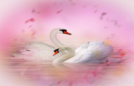 తందనాలు-21