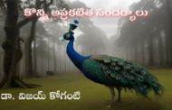 కొన్ని అప్రకటిత సందర్భాలు