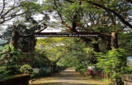 మంగళవనం - కొచ్చి యొక్క ఆకుపచ్చని ఊపిరితిత్తి