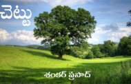 చెట్టు