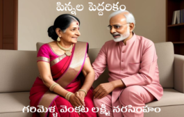 పిన్నల పెద్దరికం-2