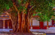తందనాలు-24