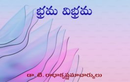 భ్రమ విభ్రమ