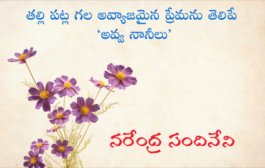 తల్లి పట్ల గల అవ్యాజమైన ప్రేమను తెలిపే ‘అవ్వ నానీలు’