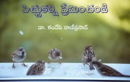 పిచ్చుకల్ని ప్రేమించండి