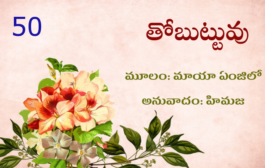 తోబుట్టువు