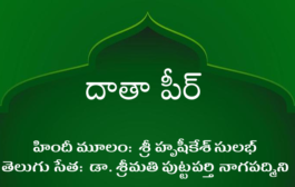 దాతా పీర్-11