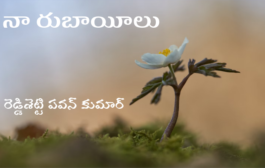 నా రుబాయీలు-6