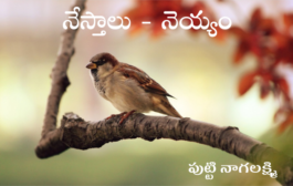 నేస్తాలు - నెయ్యం