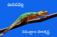 ఊసరవెల్లి