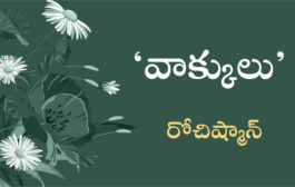 వాక్కులు-13