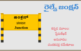 రైల్వే జంక్షన్