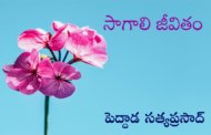 సాగాలి జీవితం