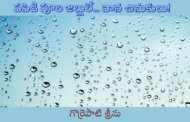 పసిడి పూల జల్లులే.. వాన చినుకులు!