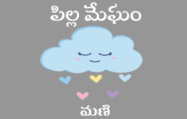 పిల్ల మేఘం