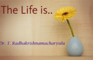 The Life is..