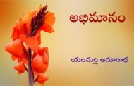 అభిమానం