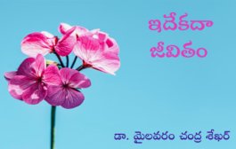 ఇదేకదా జీవితం