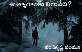 ఆ త్యాగాలకు విలువేది?