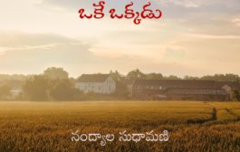 ఒకే ఒక్కడు..
