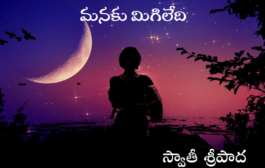 మనకు మిగిలేది