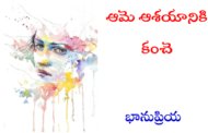 ఆమె ఆశయానికి కంచె
